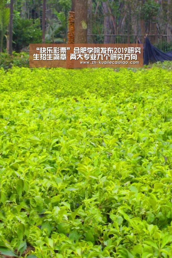 “快乐彩票”合肥学院发布2019研究生招生简章 两大专业九个研究方向计划招生100人(图2) 快乐彩票