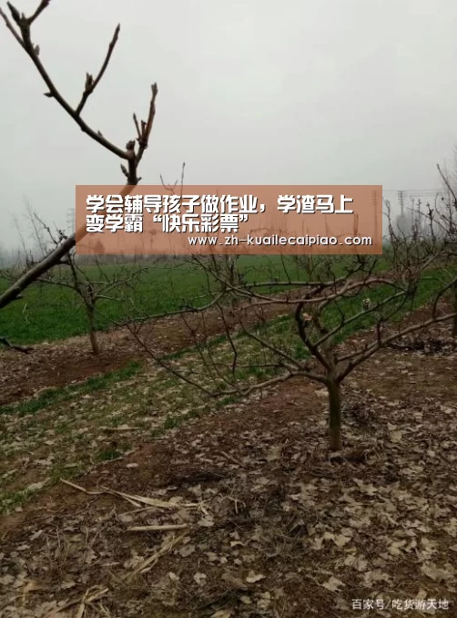 快乐彩票