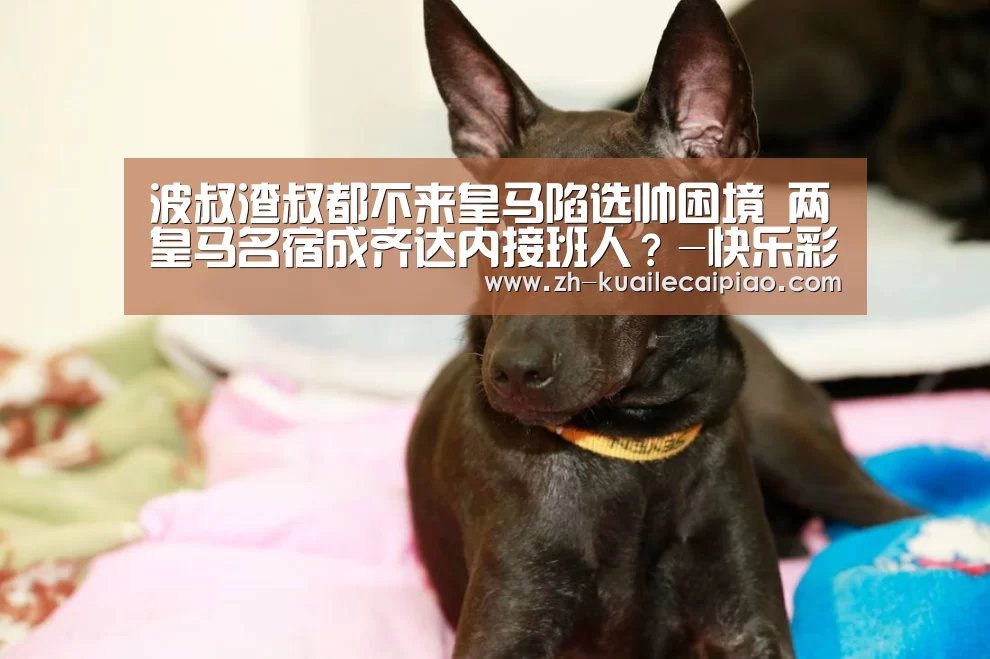波叔渣叔都不来皇马陷选帅困境 两皇马名宿成齐达内接班人?-快乐彩票(图1) 快乐彩票