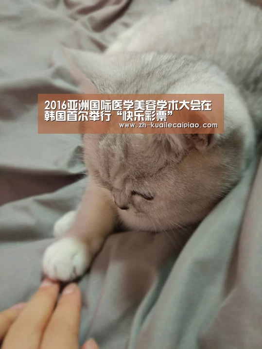快乐彩票