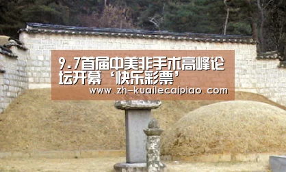 9.7首届中美非手术高峰论坛开幕‘快乐彩票’(图2) 快乐彩票